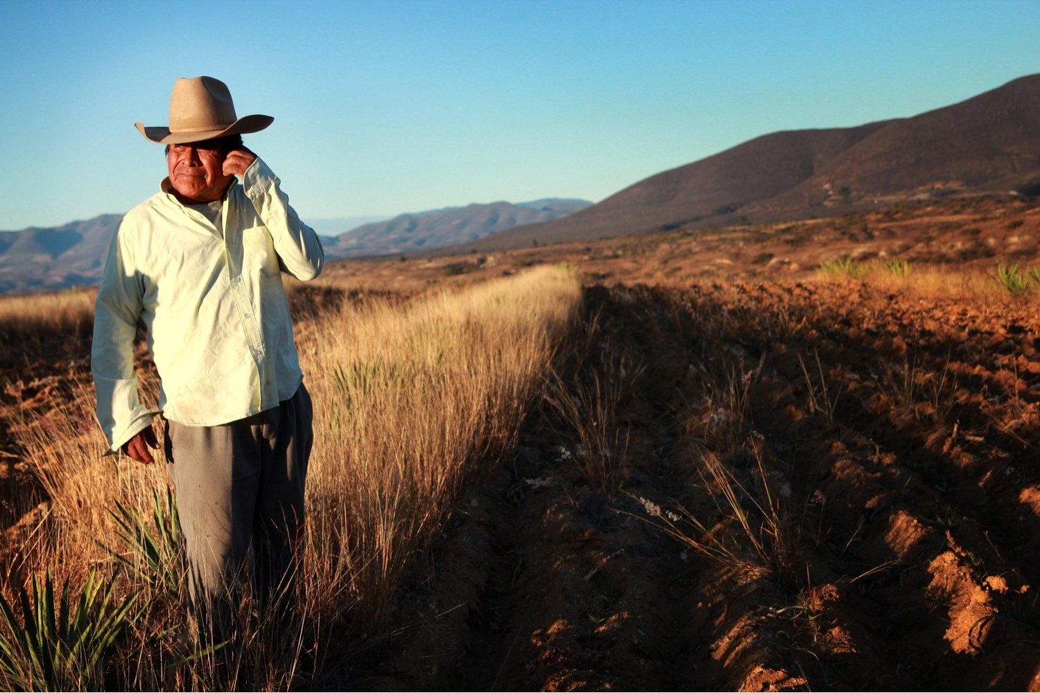 imagen maestro mezcalillero atenógenes garcía de mezcal las 