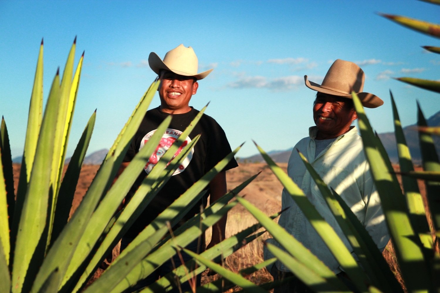 imagen maestros mezcalilleros mezcal las delirantes